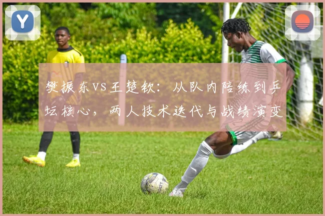 樊振东vs王楚钦:从队内陪练到乒坛核心,两人技术迭代与战绩演变对比